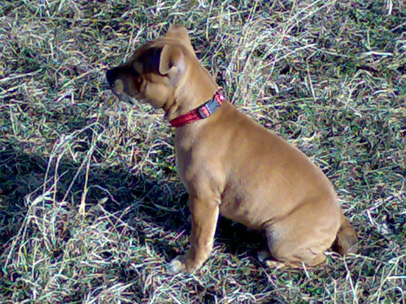 05022007027.jpg