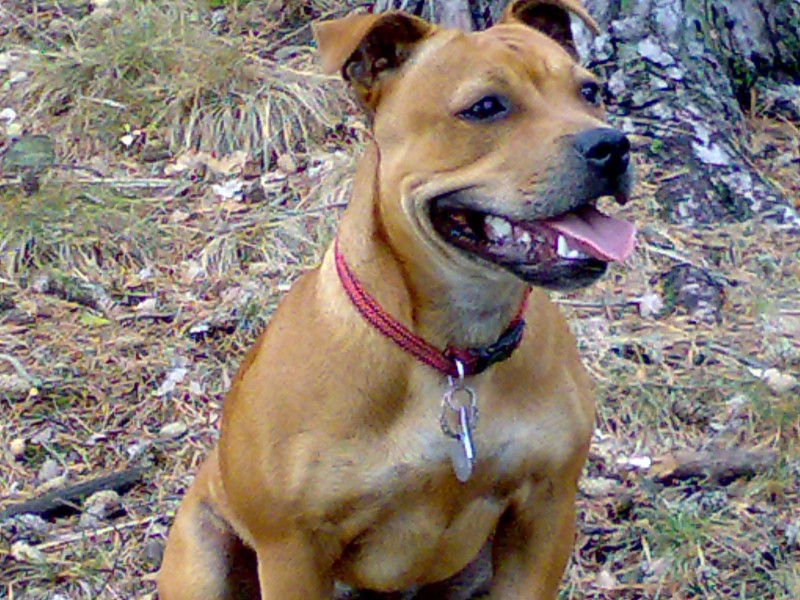 06062007002.jpg
