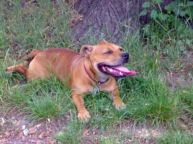 11062007004.jpg