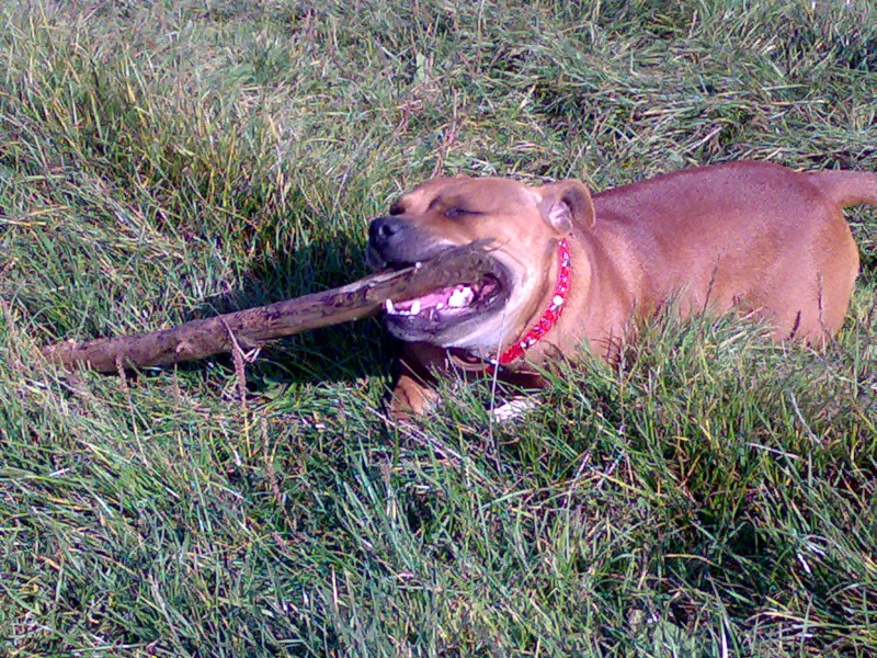 11102007083.jpg