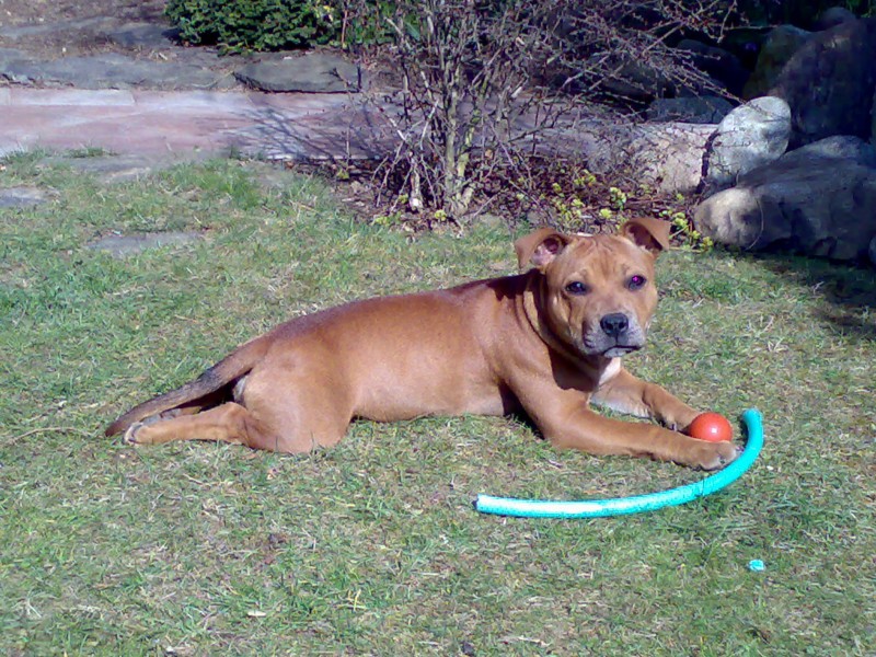 27032007059.jpg
