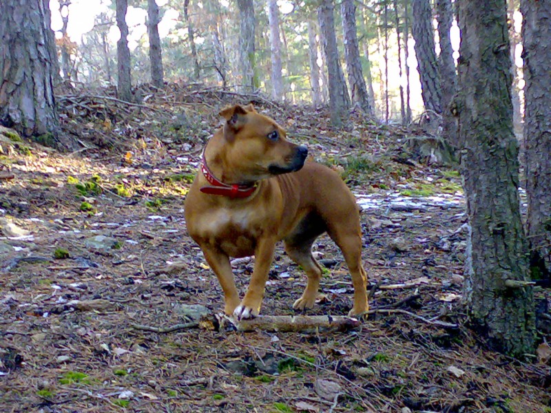 08012008108.jpg