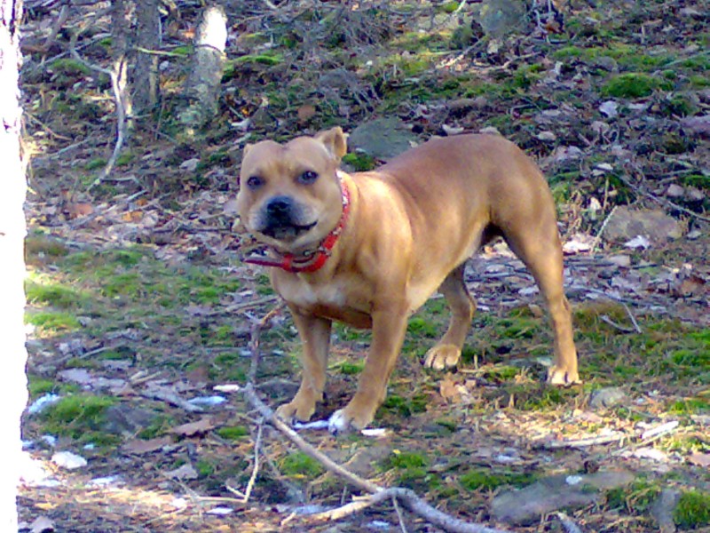 08012008110.jpg