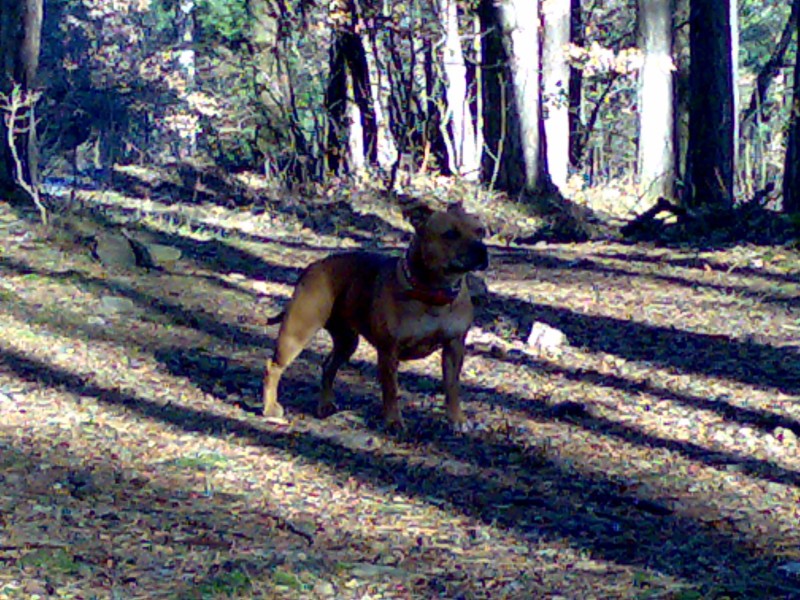08012008111.jpg