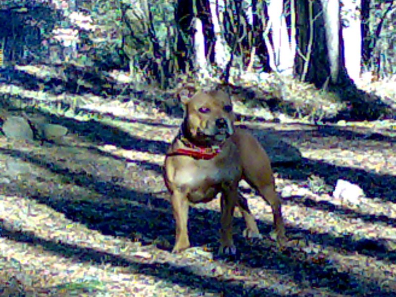 08012008112.jpg