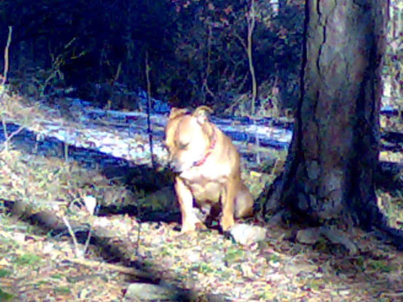 08012008113.jpg
