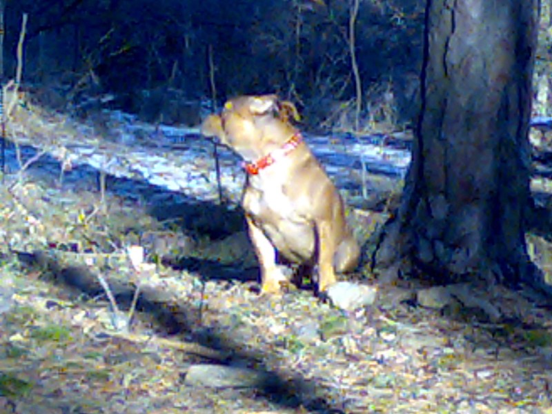 08012008114.jpg