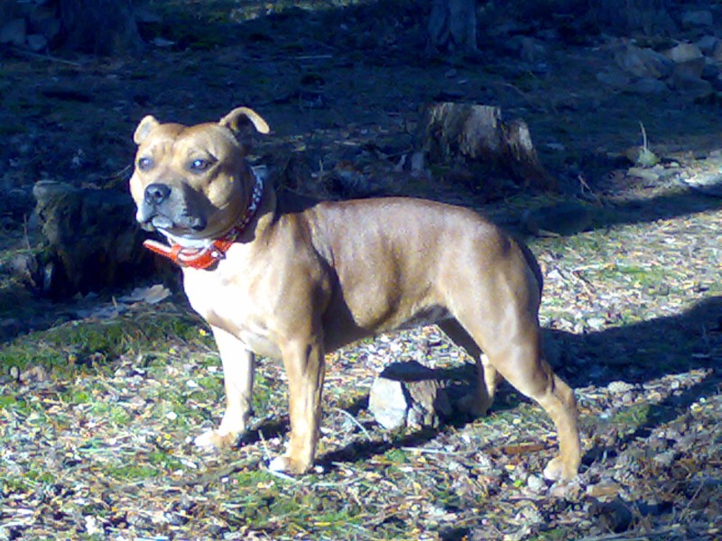 08012008116.jpg