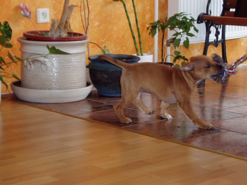 P1290019.jpg